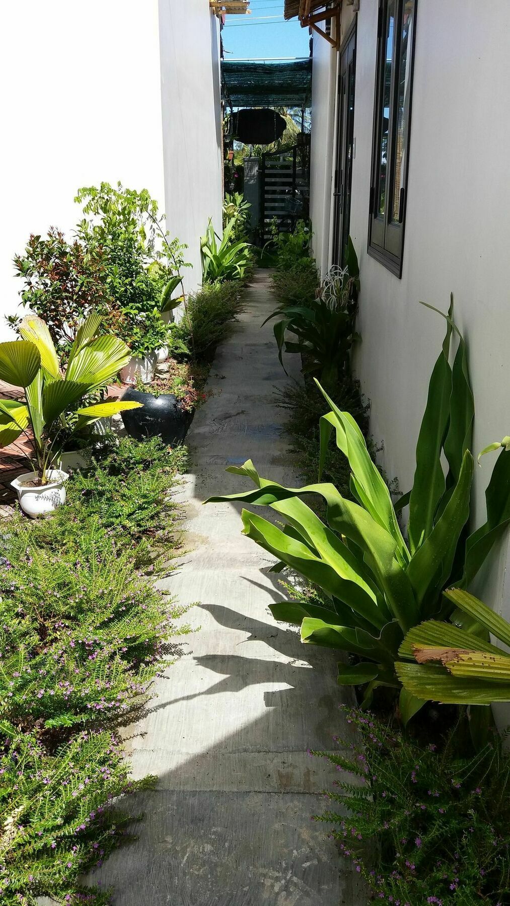 Lido Villa Hoi An Exterior foto